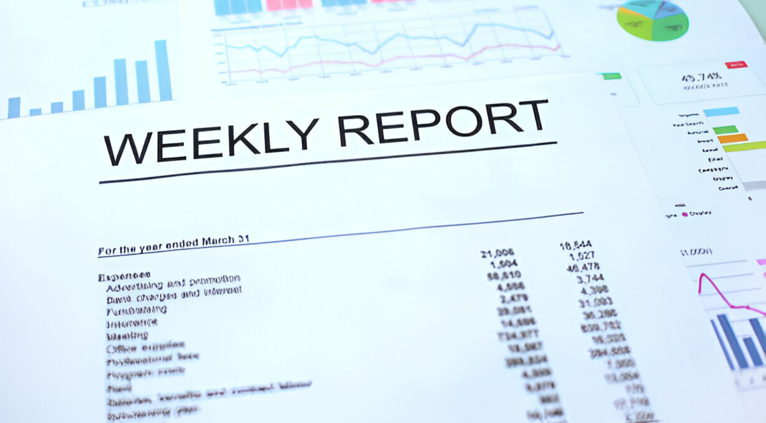 Weekly Reporting